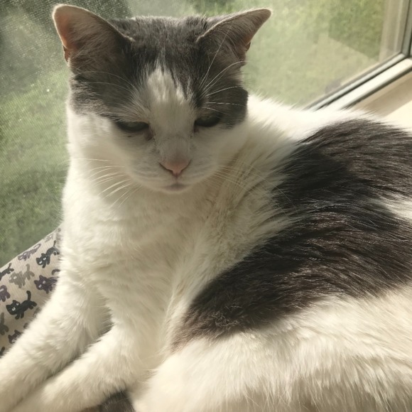 Meet your Posher, Lora - Picture 1 of 1